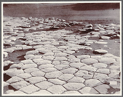 Basalt pavement, Kirkjubær (Síða).