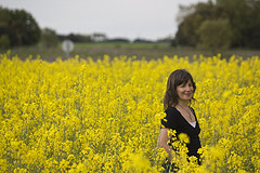 En un mar de amarillo