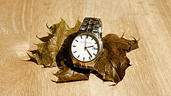 Slow Time in Wrist Watch on Dry Leaf